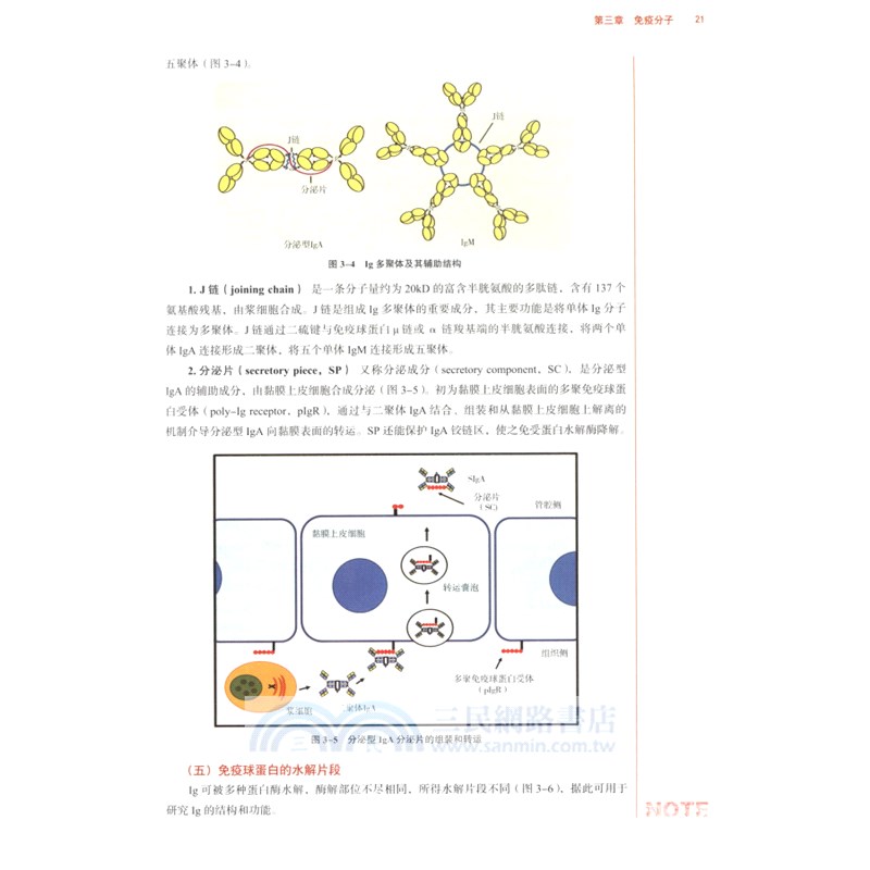 免疫學基礎與病原生物學(新世紀第四版)（簡體書）