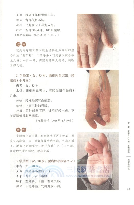 陰陽九針2：陰陽九針技巧進階與案例精選（簡體書）