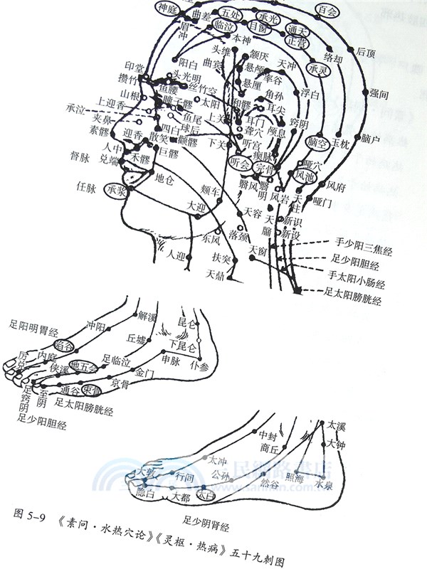 疫病論：五運六氣解讀新冠肺炎疫病（簡體書）