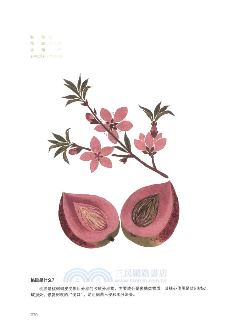 詩經博物課(手繪圖鑒版)：植物卷（簡體書）