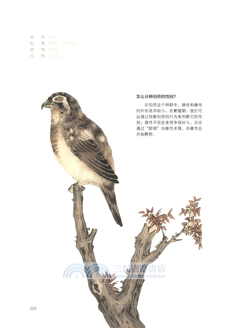 詩經博物課(手繪圖鑒版)：動物卷（簡體書）