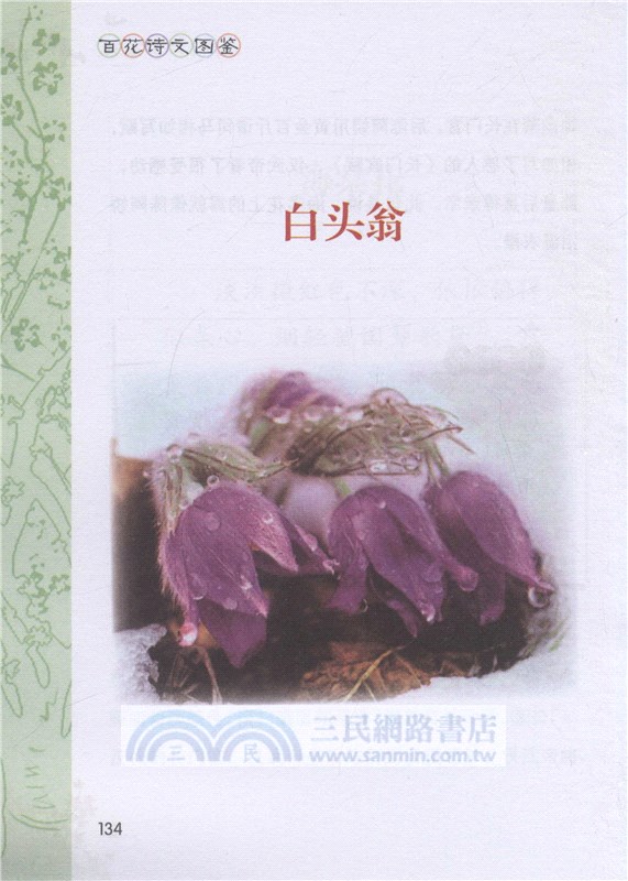百花詩文圖鑒（簡體書）