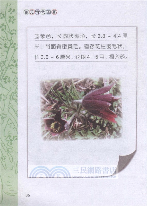 百花詩文圖鑒（簡體書）