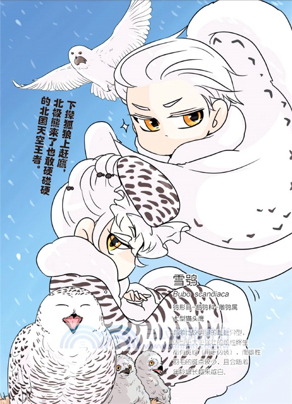 進化之基 : 飛吧，鴞少爺！（簡體書）