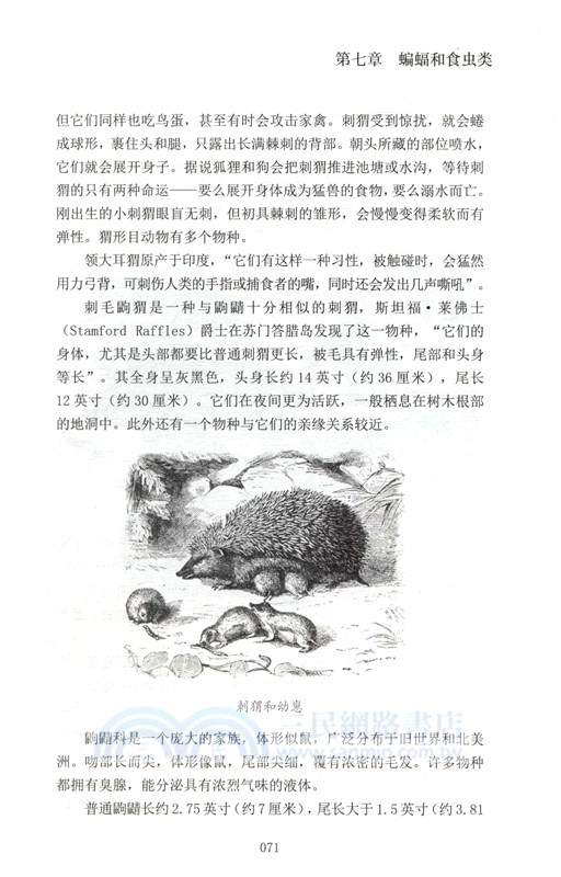 極簡動物圖志（簡體書）