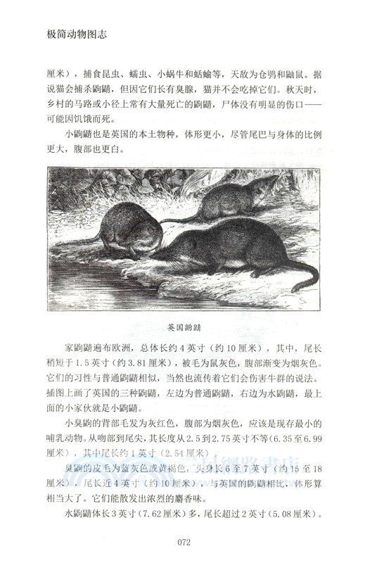 極簡動物圖志（簡體書）