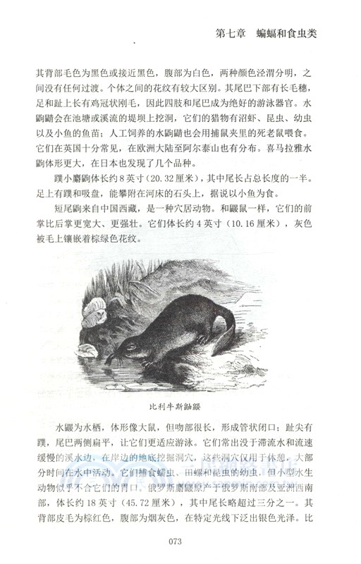 極簡動物圖志（簡體書）