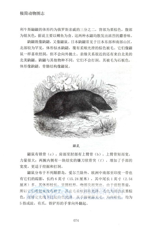 極簡動物圖志（簡體書）