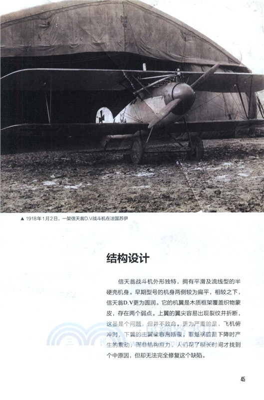 西方戰爭史上的著名戰鬥機（簡體書）