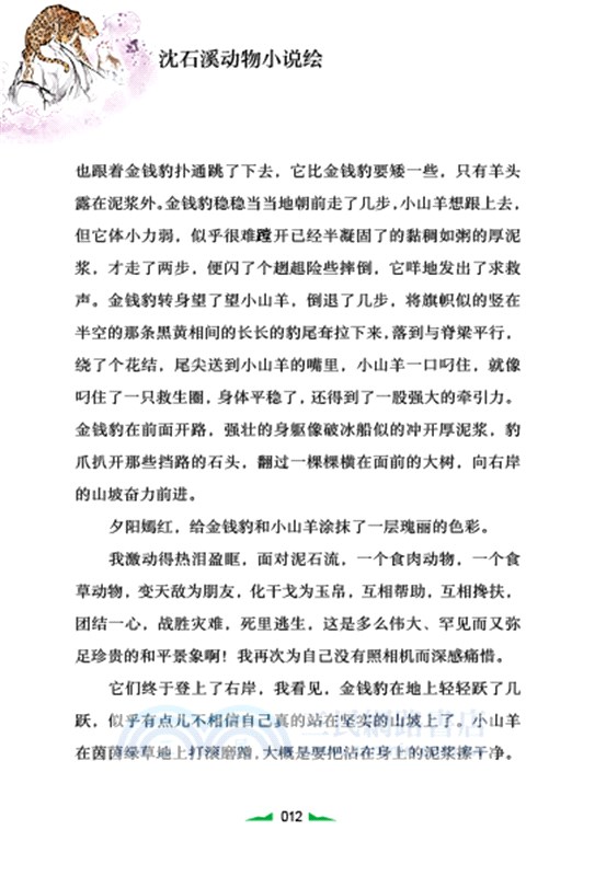 兒童文學名家經典書系‧沈石溪動物小說繪：情豹布哈依（簡體書）