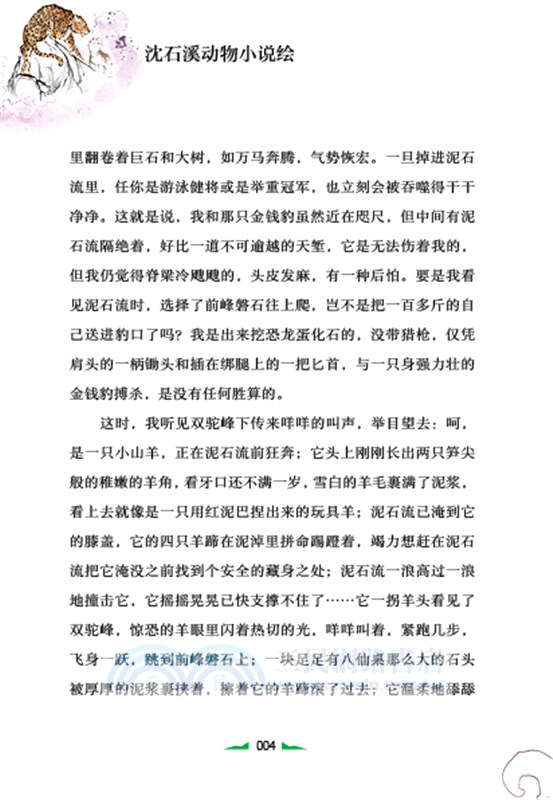 兒童文學名家經典書系‧沈石溪動物小說繪：情豹布哈依（簡體書）