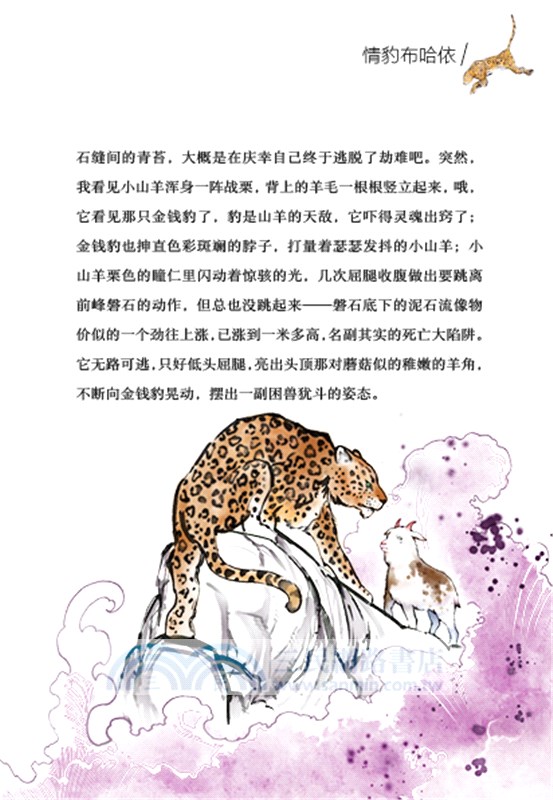 兒童文學名家經典書系‧沈石溪動物小說繪：情豹布哈依（簡體書）