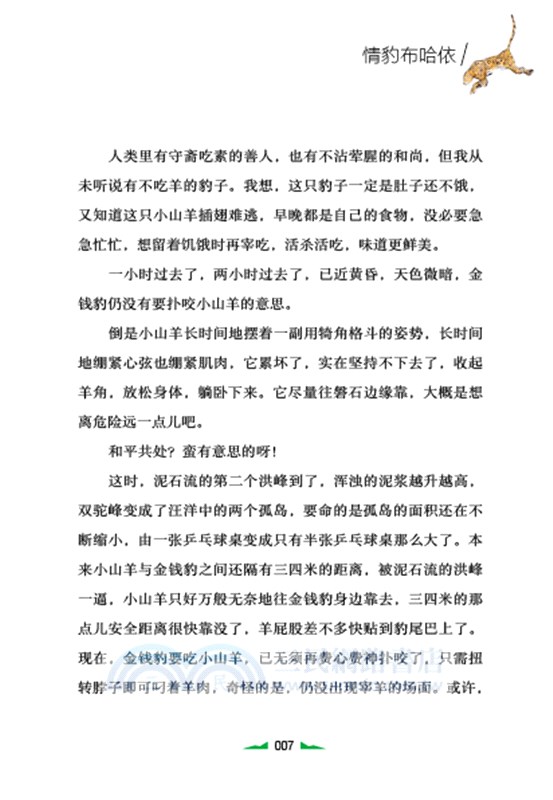 兒童文學名家經典書系‧沈石溪動物小說繪：情豹布哈依（簡體書）