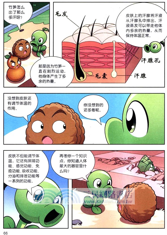 植物大戰僵屍2漫畫人體的奧秘：功夫高手（簡體書）