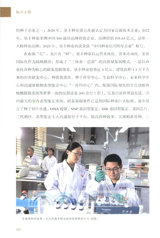 振興之路：中國式現代化的黑龍江故事（簡體書）