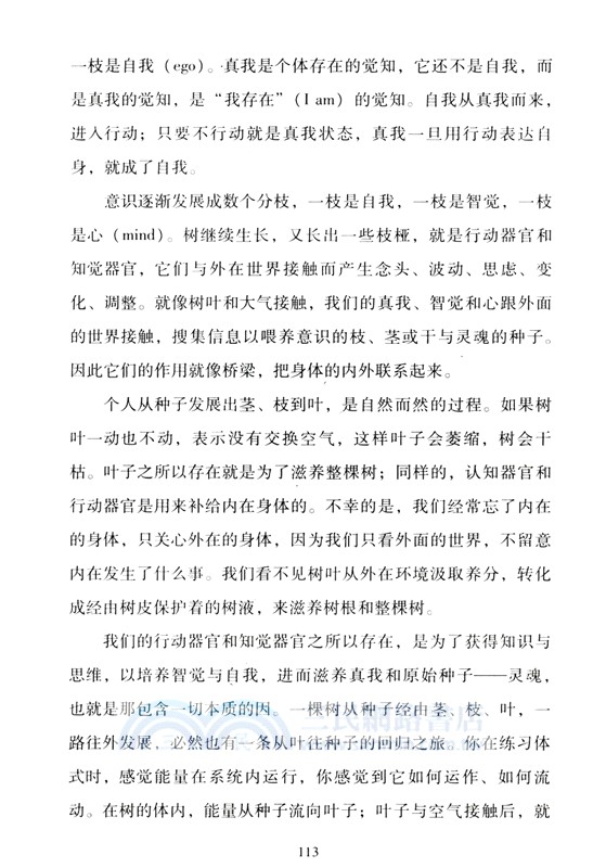 瑜伽之樹（簡體書）