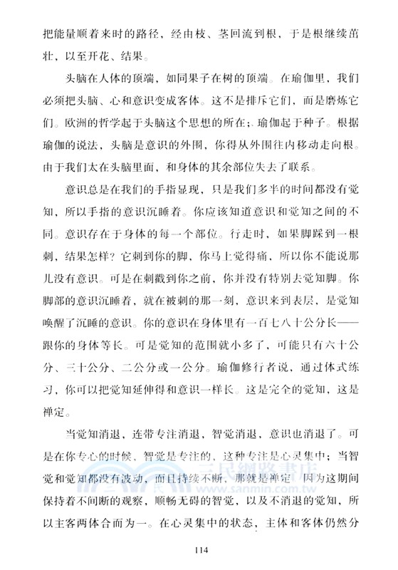 瑜伽之樹（簡體書）