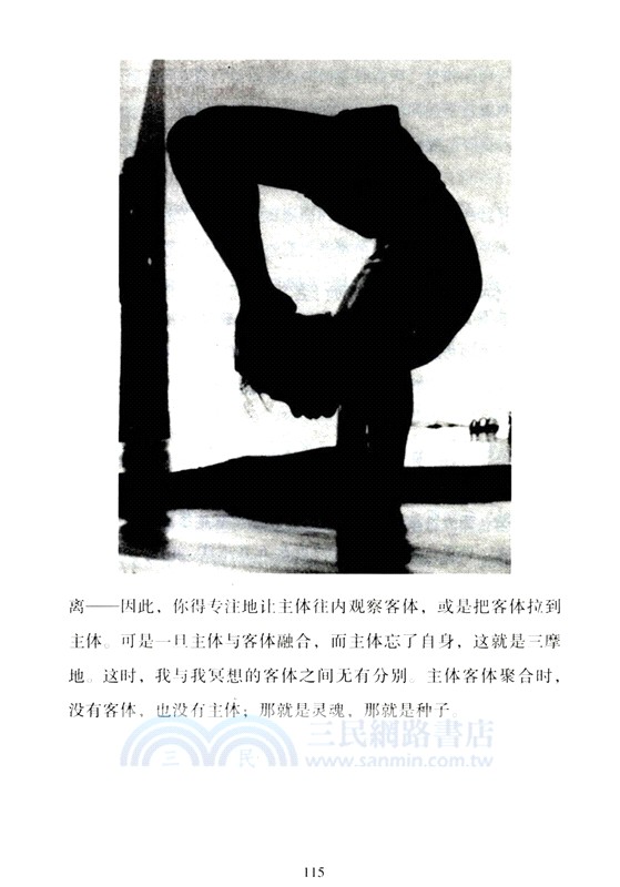 瑜伽之樹（簡體書）