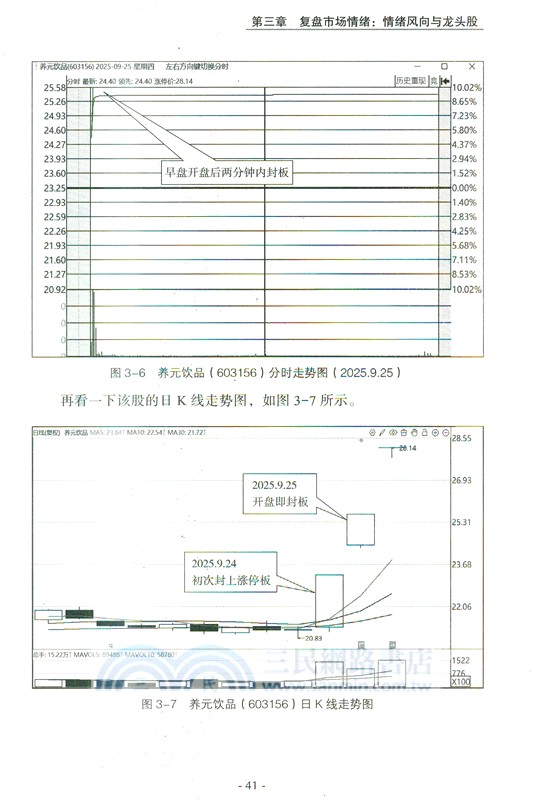 遊資全景看盤之龍頭戰法複盤（簡體書）