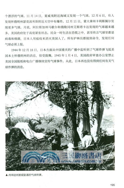 微觀戰場：二戰中那些被遺忘的人和事（簡體書）