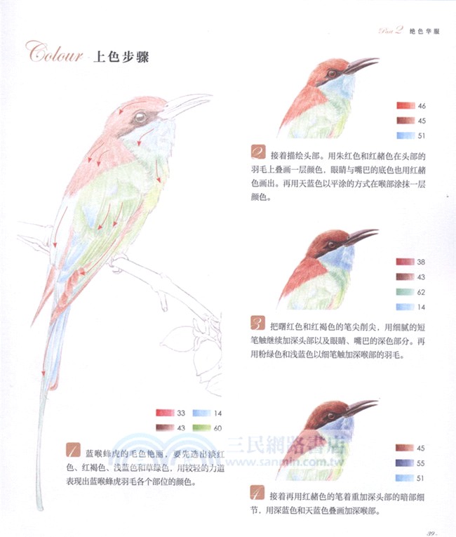 鳥之繪(II)：36種中國鳥的色鉛筆圖繪（簡體書）