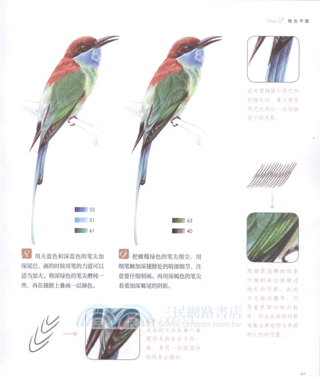 鳥之繪(II)：36種中國鳥的色鉛筆圖繪（簡體書）
