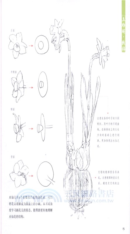 色鉛筆de四季繪卷：春之繪（簡體書）