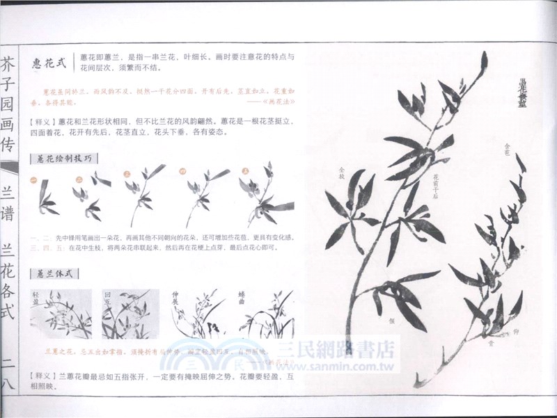 芥子園畫傳(白話圖解版)：梅蘭竹菊（簡體書）