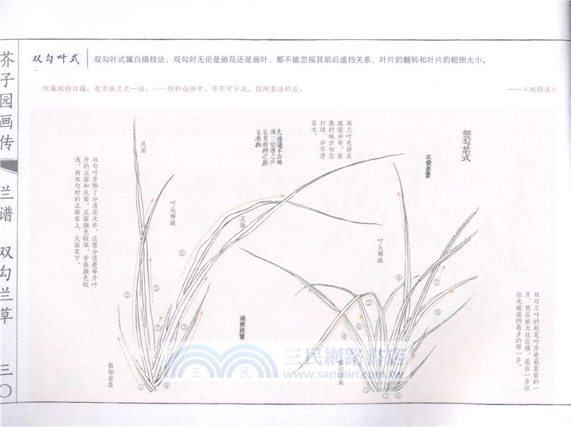 芥子園畫傳(白話圖解版)：梅蘭竹菊（簡體書）