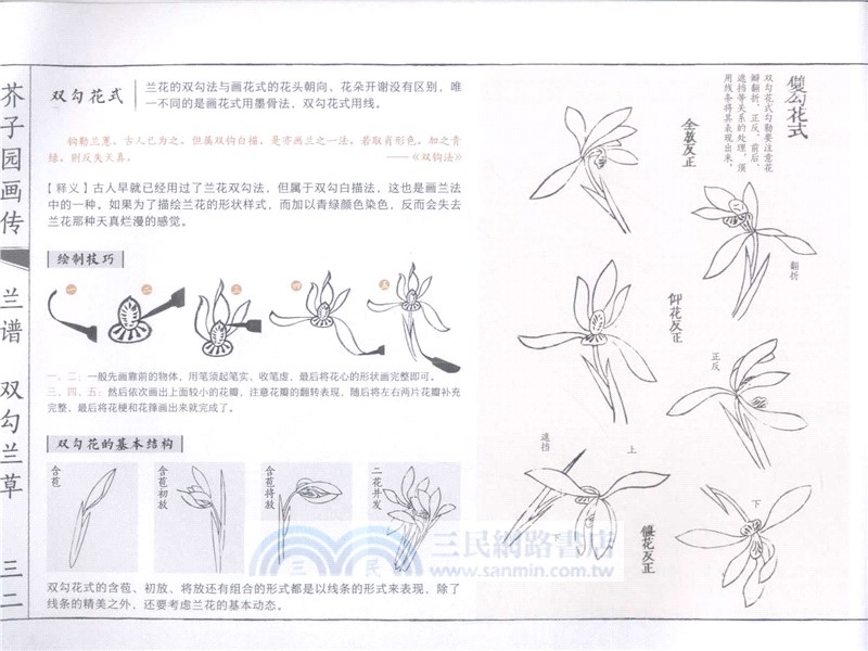 芥子園畫傳(白話圖解版)：梅蘭竹菊（簡體書）