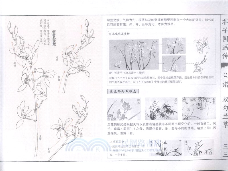 芥子園畫傳(白話圖解版)：梅蘭竹菊（簡體書）