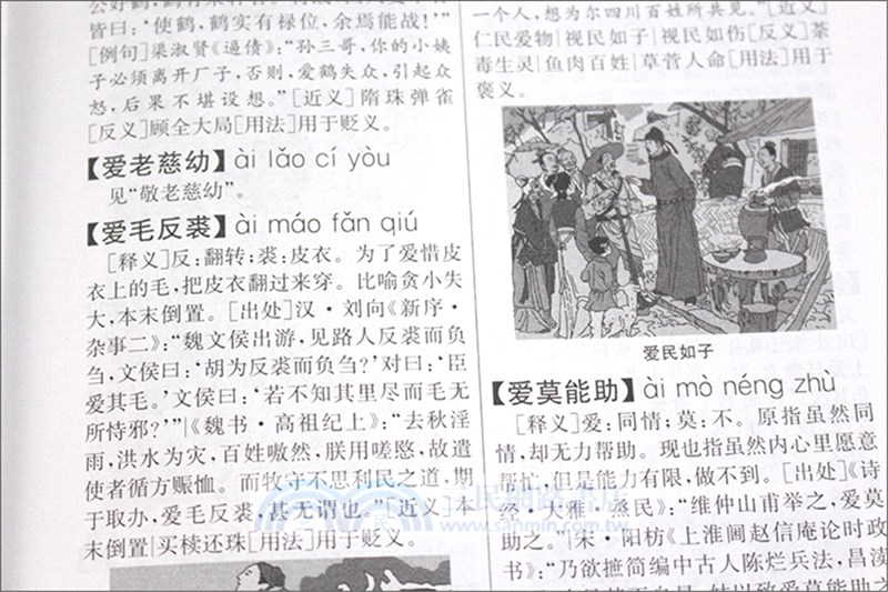 成語大詞典(單色插圖本)（簡體書）