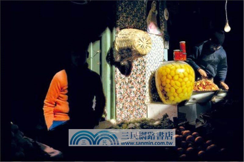 世界攝影大百科（簡體書）