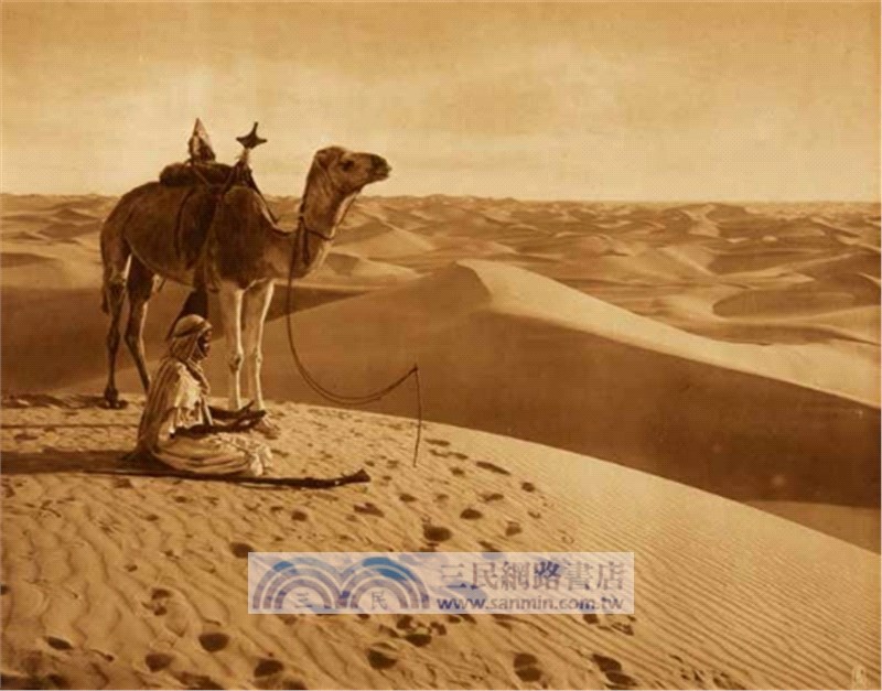 世界攝影大百科（簡體書）