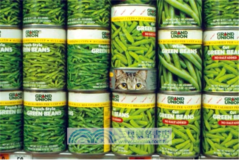 世界攝影大百科（簡體書）