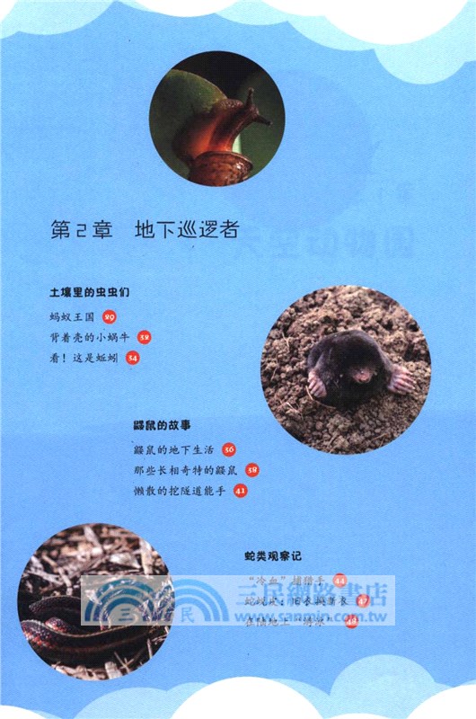 天空地底妙想國（簡體書）