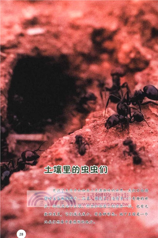 天空地底妙想國（簡體書）