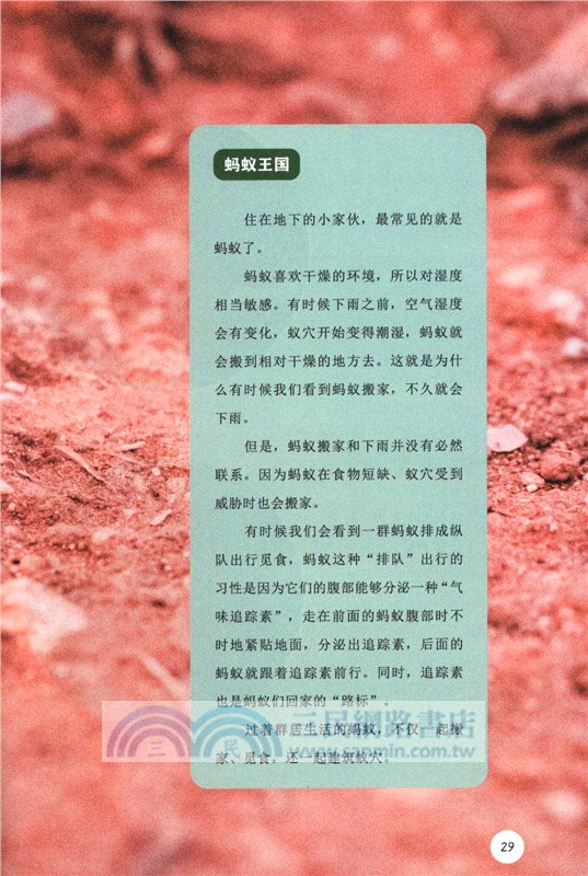 天空地底妙想國（簡體書）