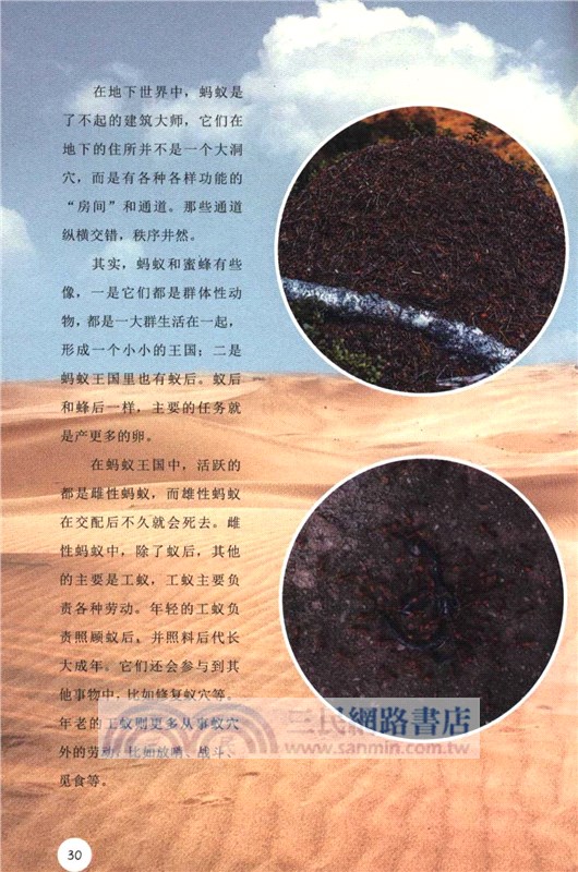 天空地底妙想國（簡體書）