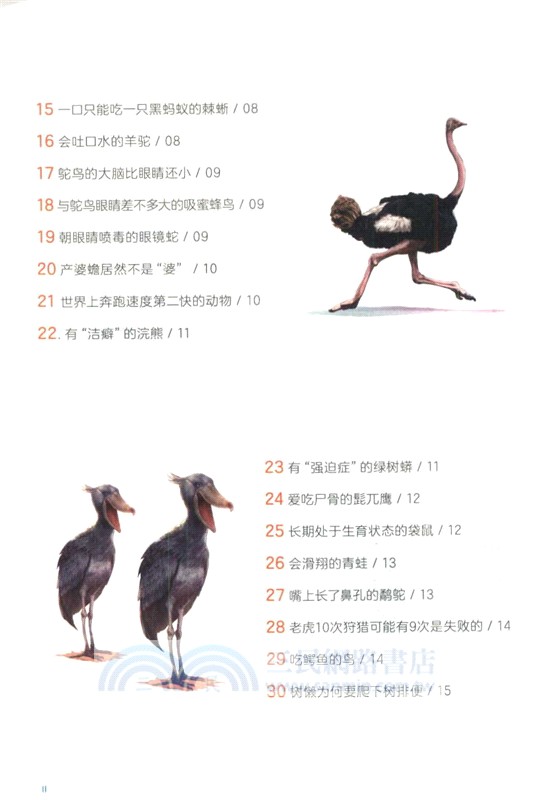 秒懂百科：動物（簡體書）