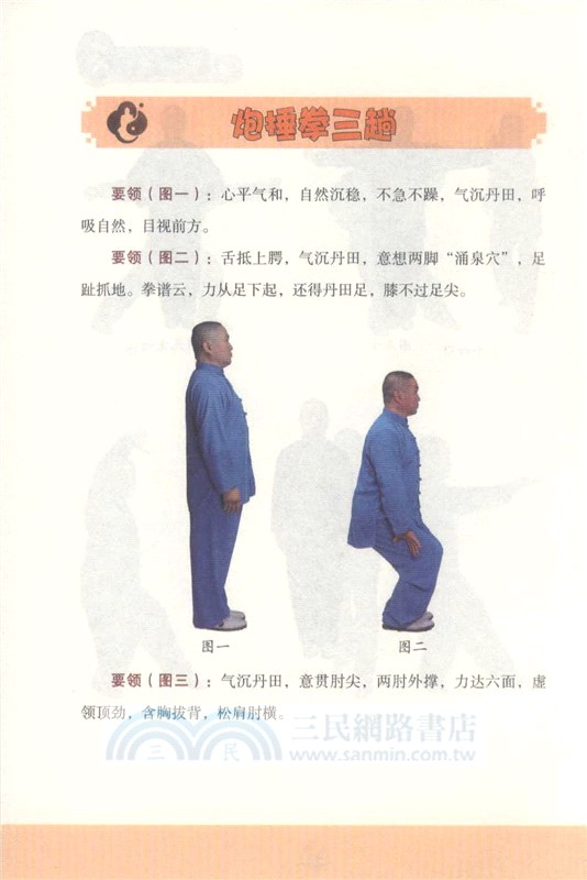 三皇炮捶拳全書（簡體書）