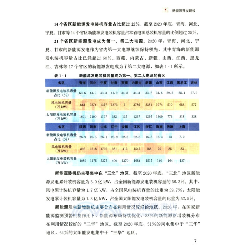2021中國新能源發電分析報告（簡體書）