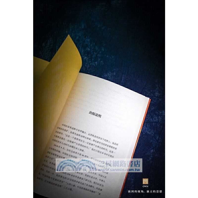 中國奇跡背後：改革的邏輯與學理（簡體書）