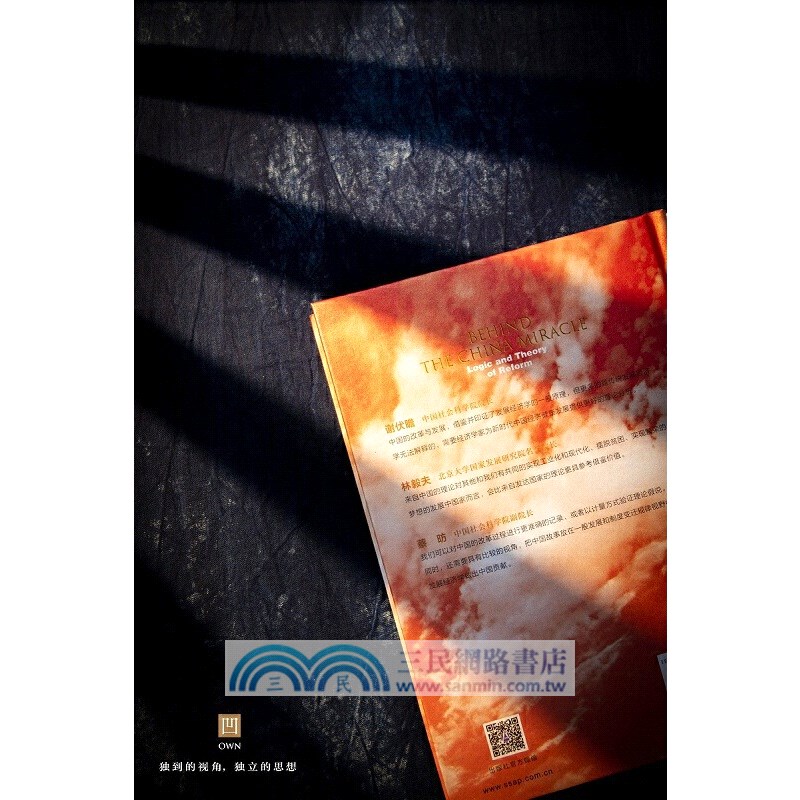 中國奇跡背後：改革的邏輯與學理（簡體書）