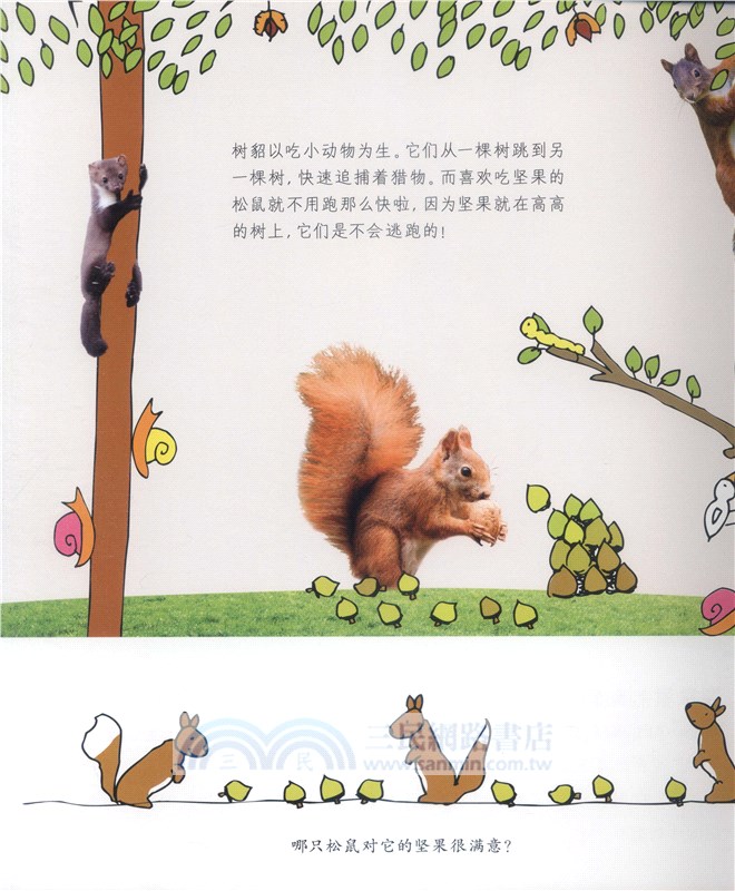 自然科學啟蒙之旅：奇妙森林（簡體書）