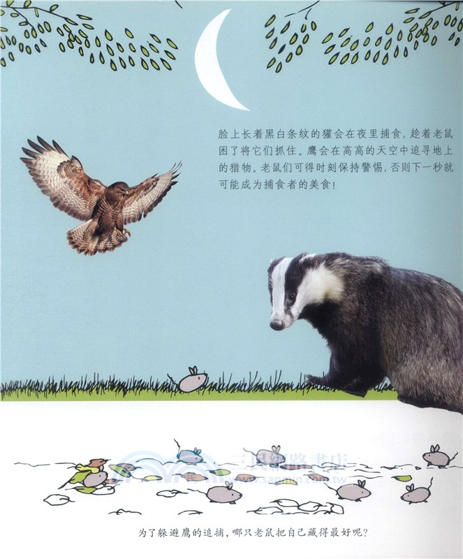 自然科學啟蒙之旅：奇妙森林（簡體書）