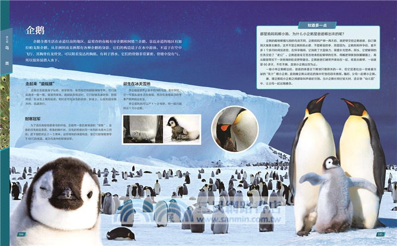 中國兒童動物百科全書(第2版)（簡體書）