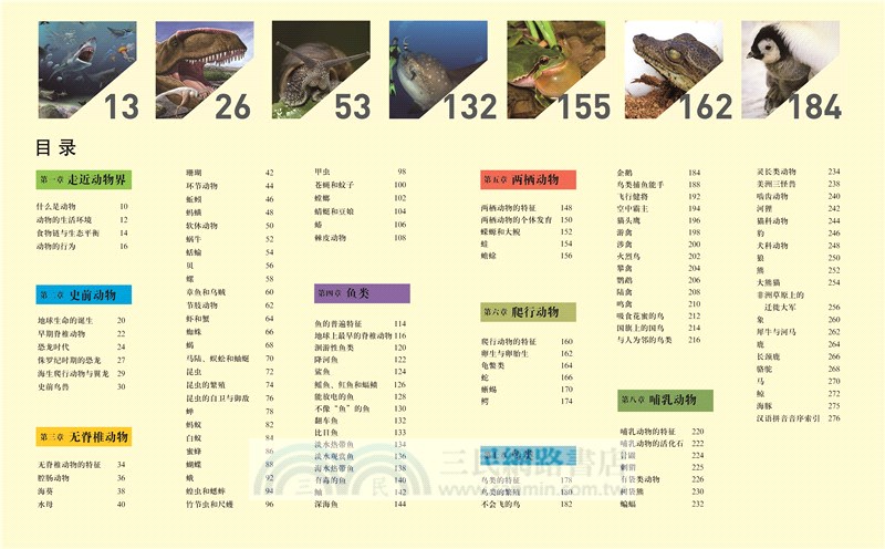 中國兒童動物百科全書(第2版)（簡體書）