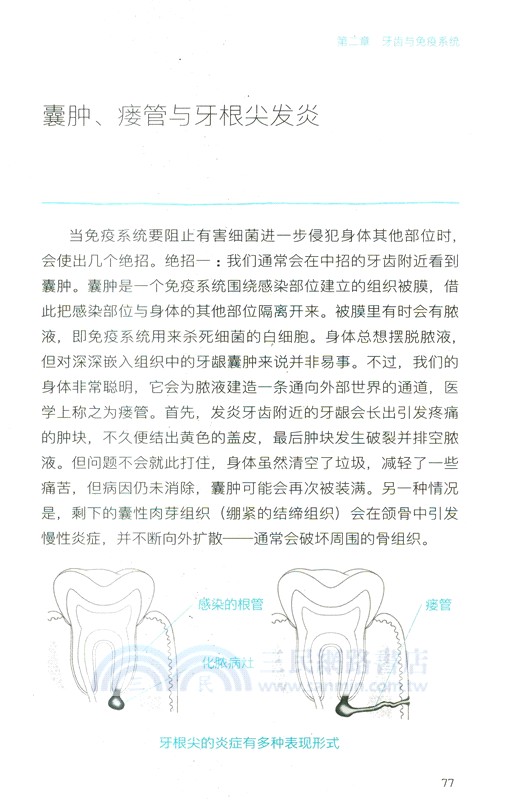 致命口腔（簡體書）