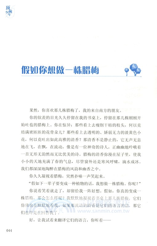 頂碗少年（簡體書）